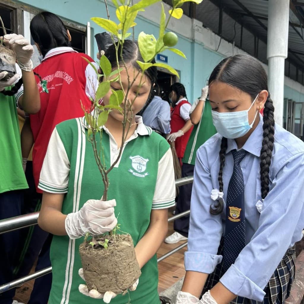 Students planting a tree on campus